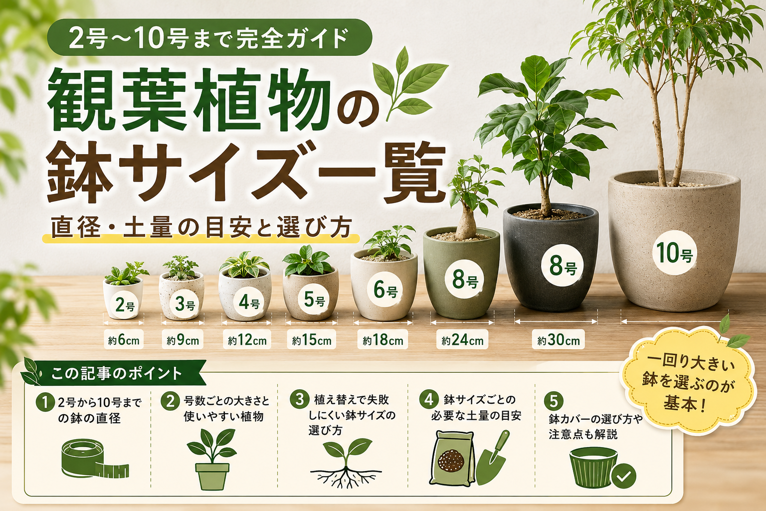 観葉植物の鉢サイズ一覧｜2号から10号まで直径と選び方を解説